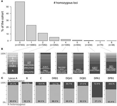 Homozygosity in any HLA locus is a risk factor for specific antibody production: the taboo concept 2.0